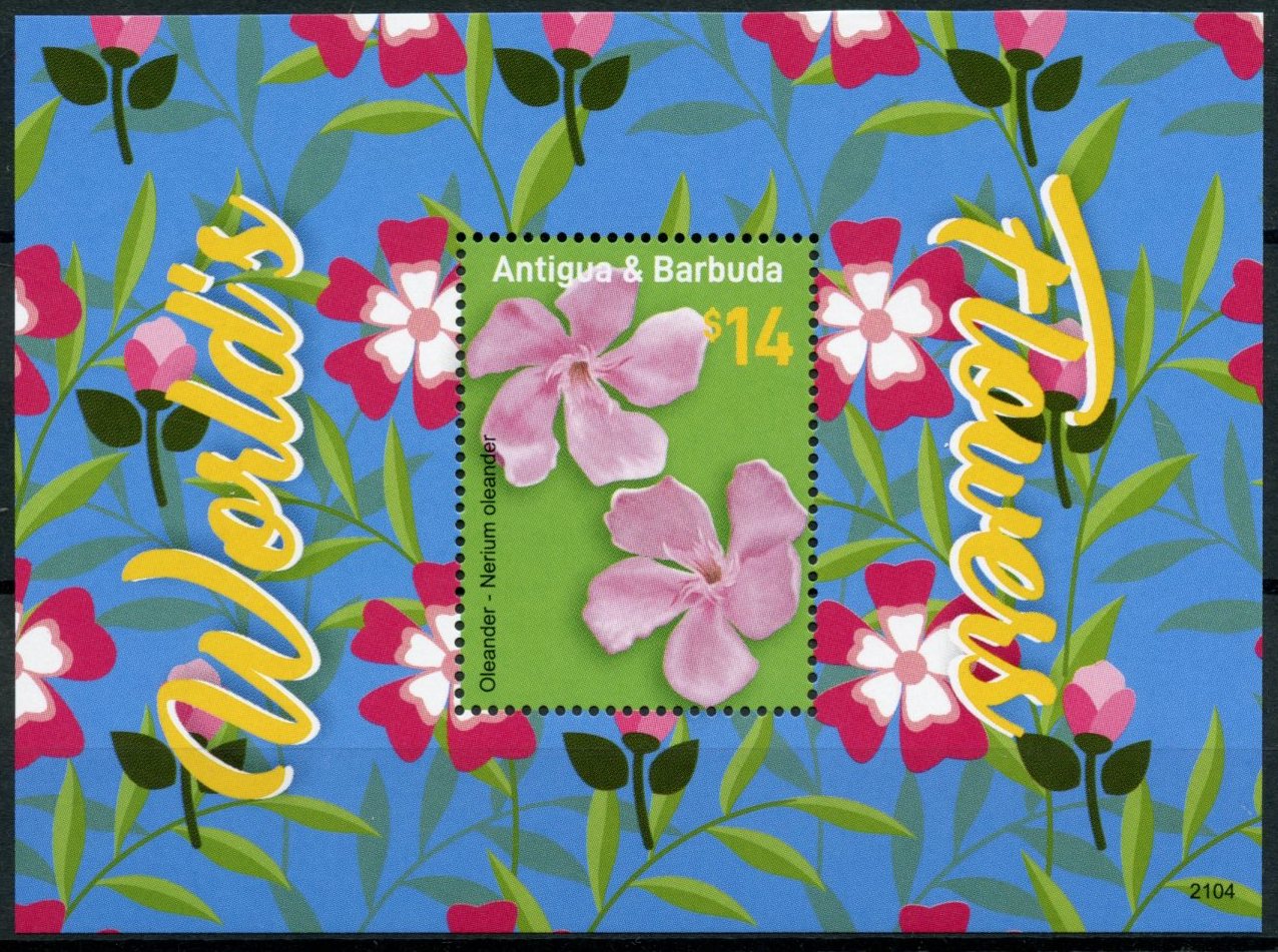 Antigua & Barbuda Flowers Stamps 2021 MNH World's Flowers Oleander Nature 1v S/S