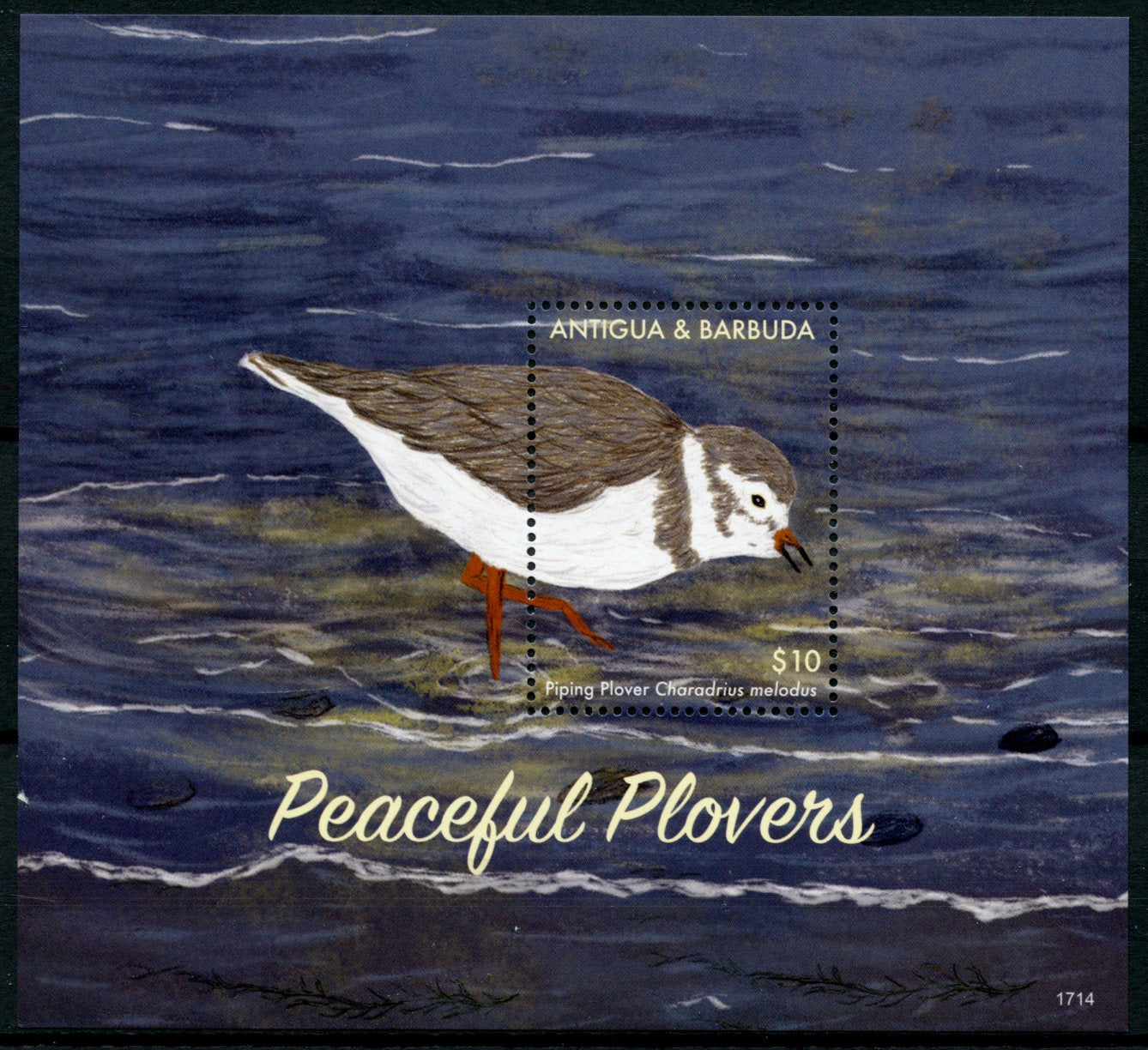 Antigua & Barbuda 2017 MNH Peaceful Plovers Piping Plover 1v S/S Birds Stamps