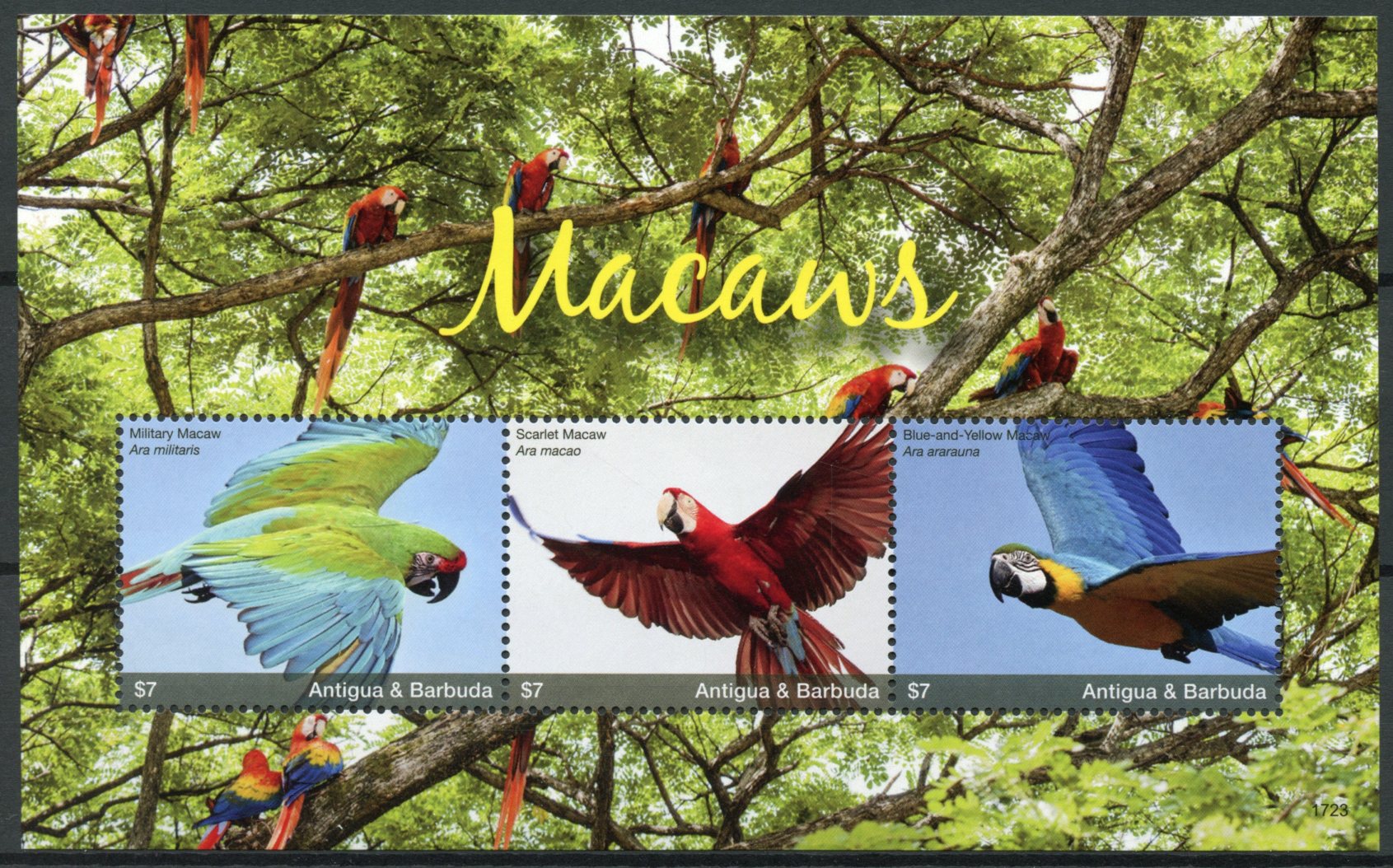 Antigua & Barbuda 2017 MNH Macaws Scarlet Macaw 3v M/S I Parrots Birds Stamps