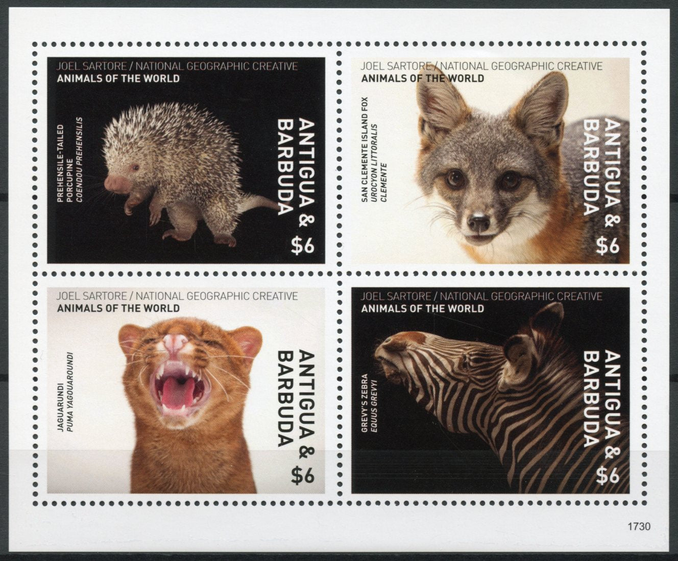 Antigua & Barbuda 2017 MNH Wild Animals of World 4v M/S Zebras Foxes Stamps