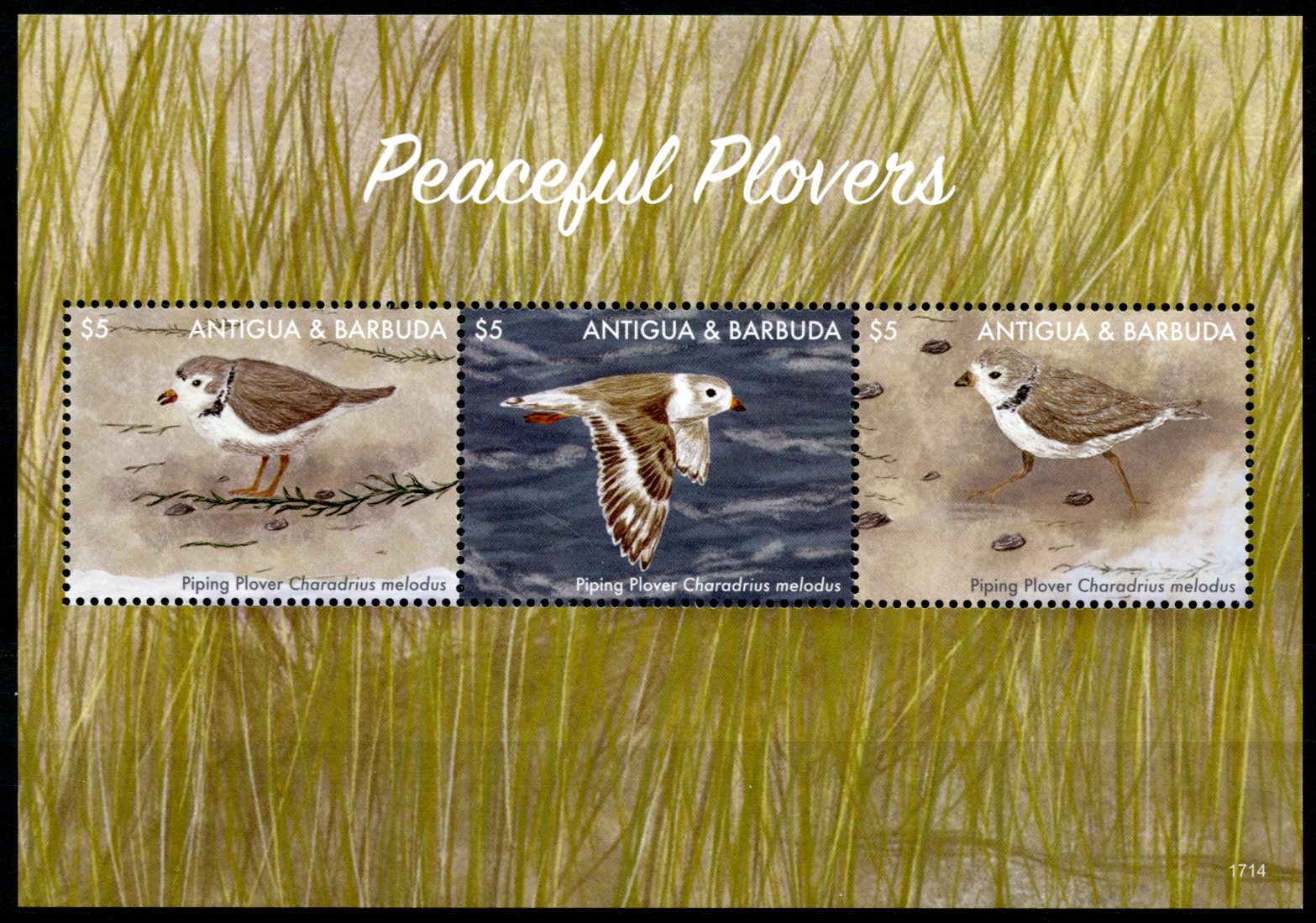 Antigua & Barbuda 2017 MNH Birds on Stamps Peaceful Plovers Piping Plover 3v M/S
