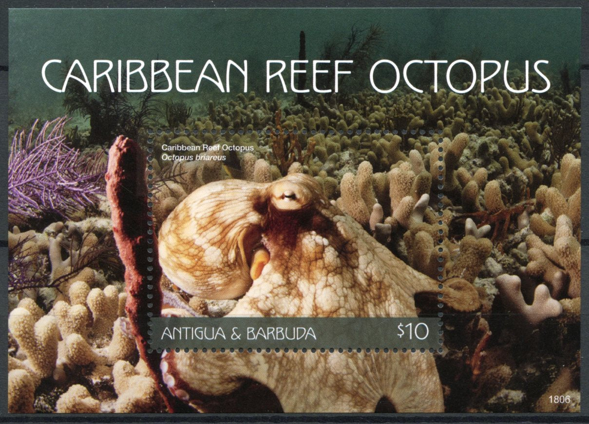 Antigua & Barbuda 2018 MNH Marine Animals Stamps Caribbean Reef Octopus 1v S/S