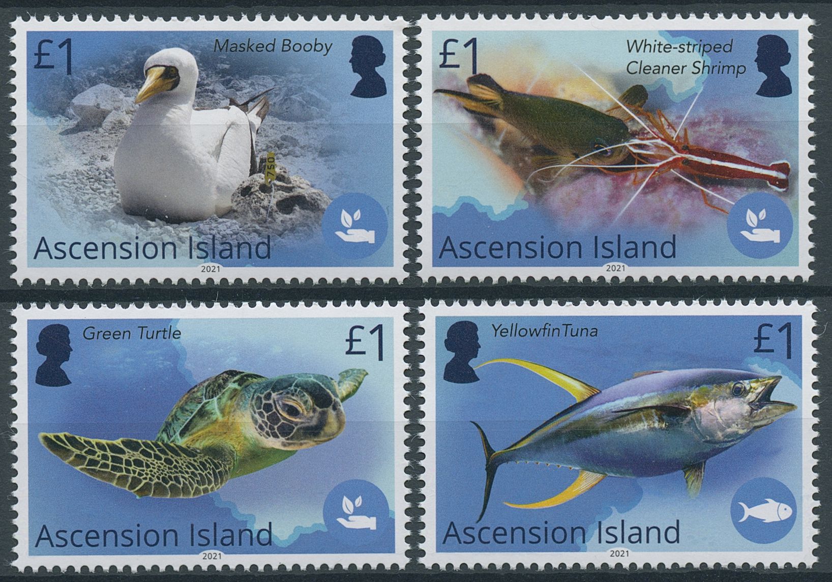 Ascension Island 2021 MNH Marine Animals Stamps Blue Belt Programme Birds Fish Turtles 4v Set