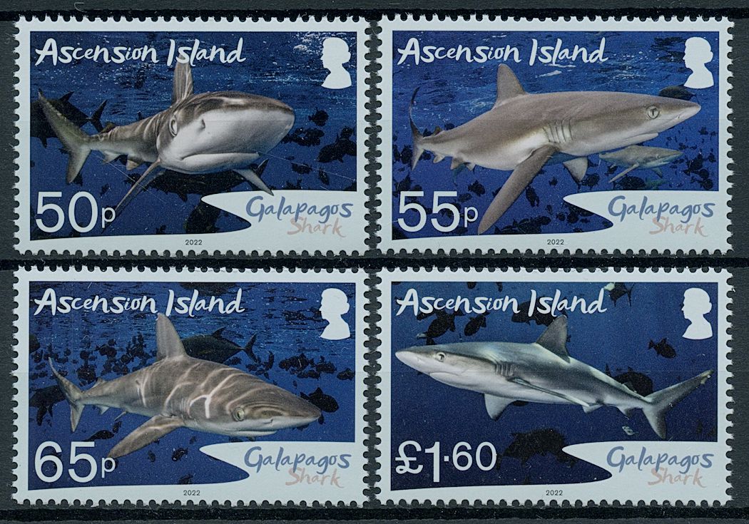 Ascension Island 2022 MNH Marine Animals Stamps Galapagos Shark Sharks 4v Set