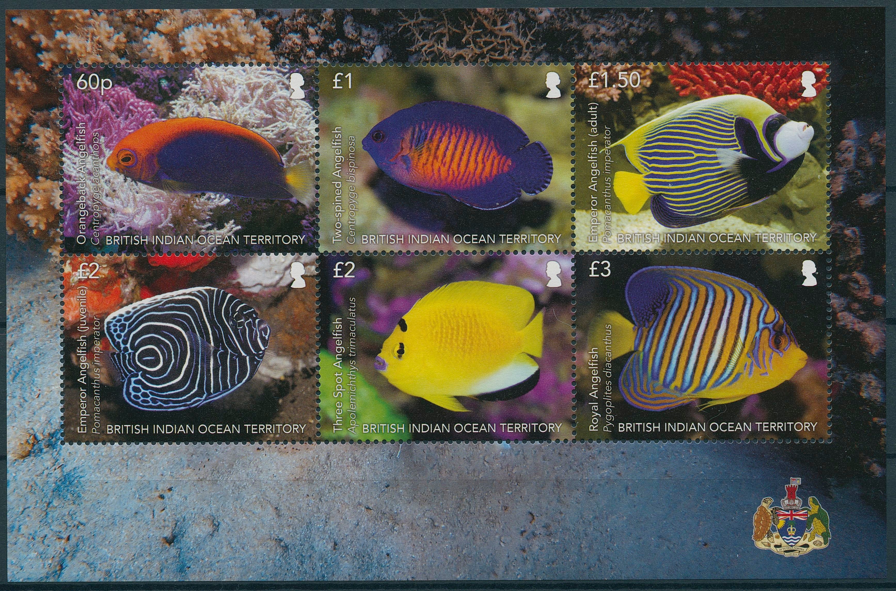 BIOT 2021 MNH Fish Stamps Angelfish Fishes 6v M/S