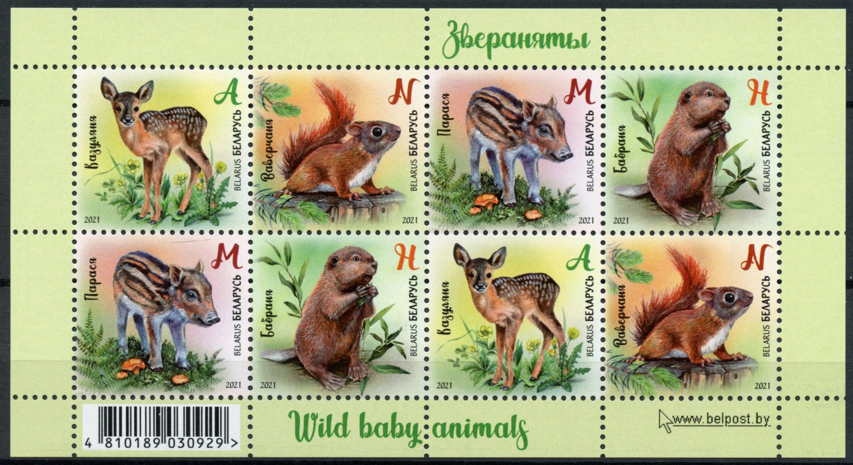 Belarus 2021 MNH Wild Baby Animals Stamps Deer Squirrels Beavers 8v M/S