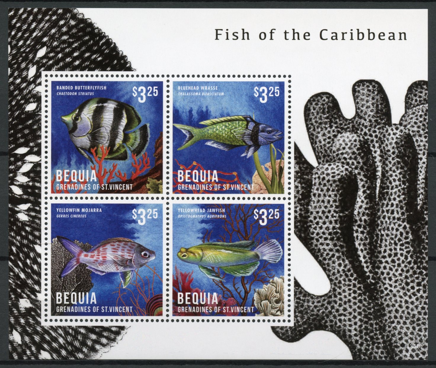 Bequia Grenadines St Vincent 2013 MNH Fish of Caribbean 4v M/S Wrasse Mojarra