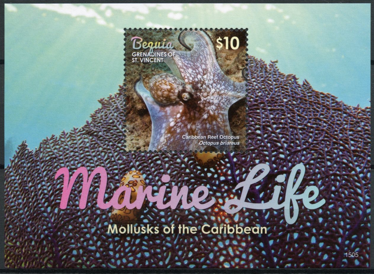 Bequia Grenadines St Vincent 2015 MNH Marine Life Mollusks 1v S/S Octopus