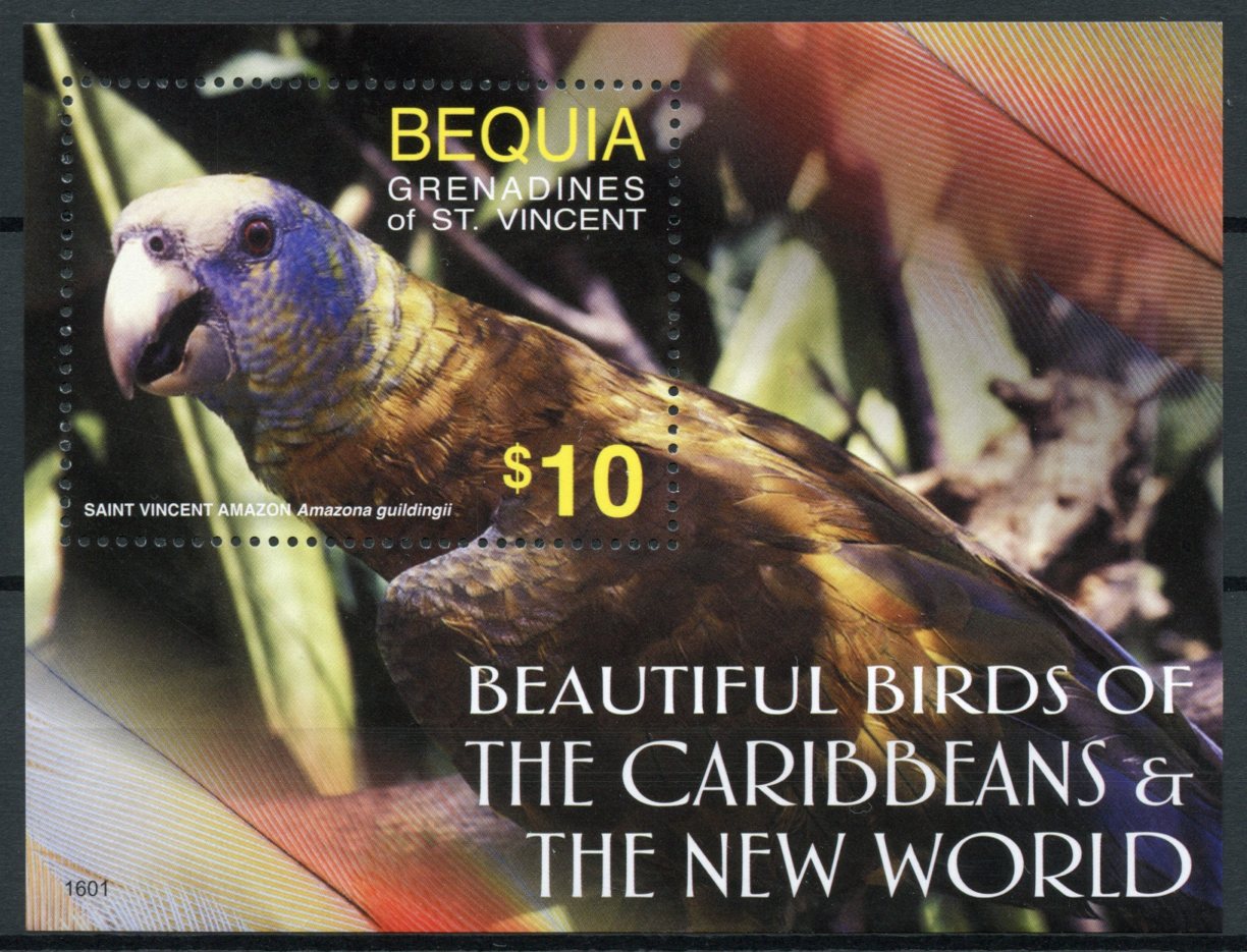 Bequia Grenadines St Vincent 2016 MNH Beautiful Birds of Caribbean 1v S/S Stamps