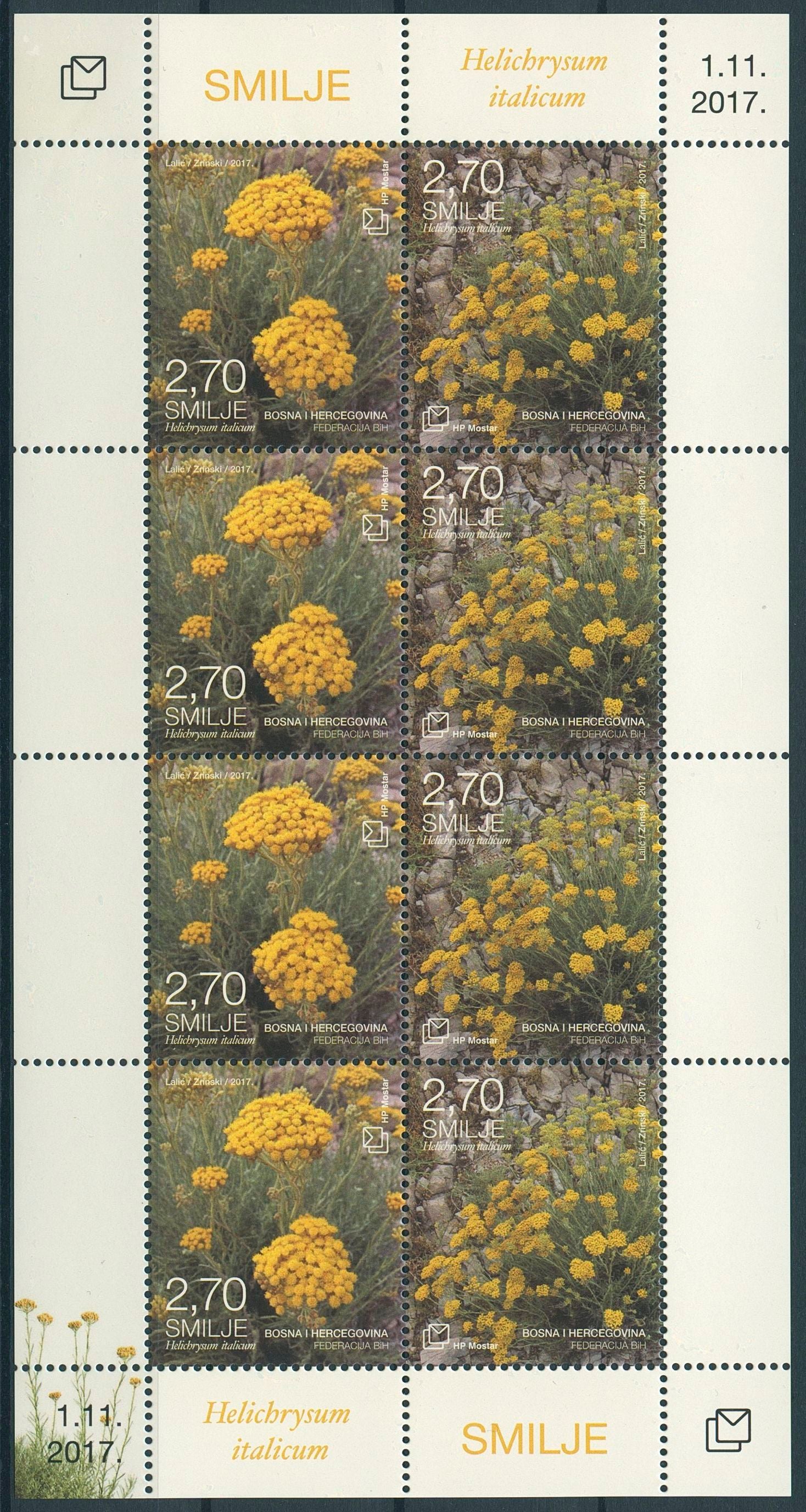 Bosnia & Herzegovina 2017 MNH Flora Helychrisum 8v M/S Plants Flowers Stamps