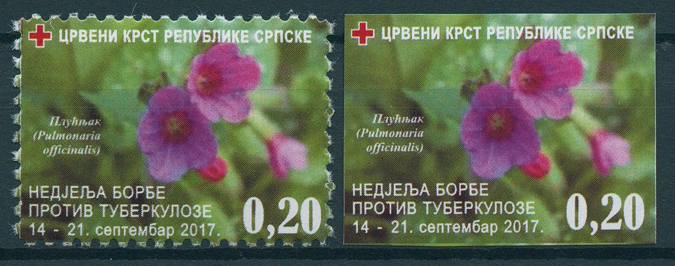 Bosnia & Herzegovina 2017 MNH Tuberculosis 1v + 1v Imperf Set Medical Stamps