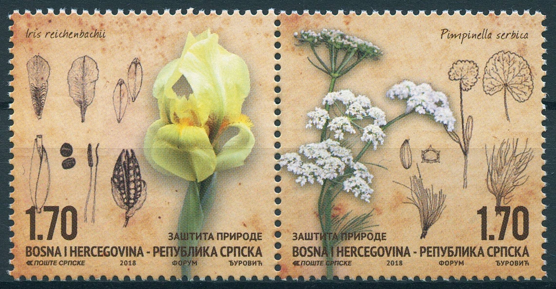 Bosnia & Herzegovina 2018 MNH Nature Protection 2v Set Flowers Plants Stamps