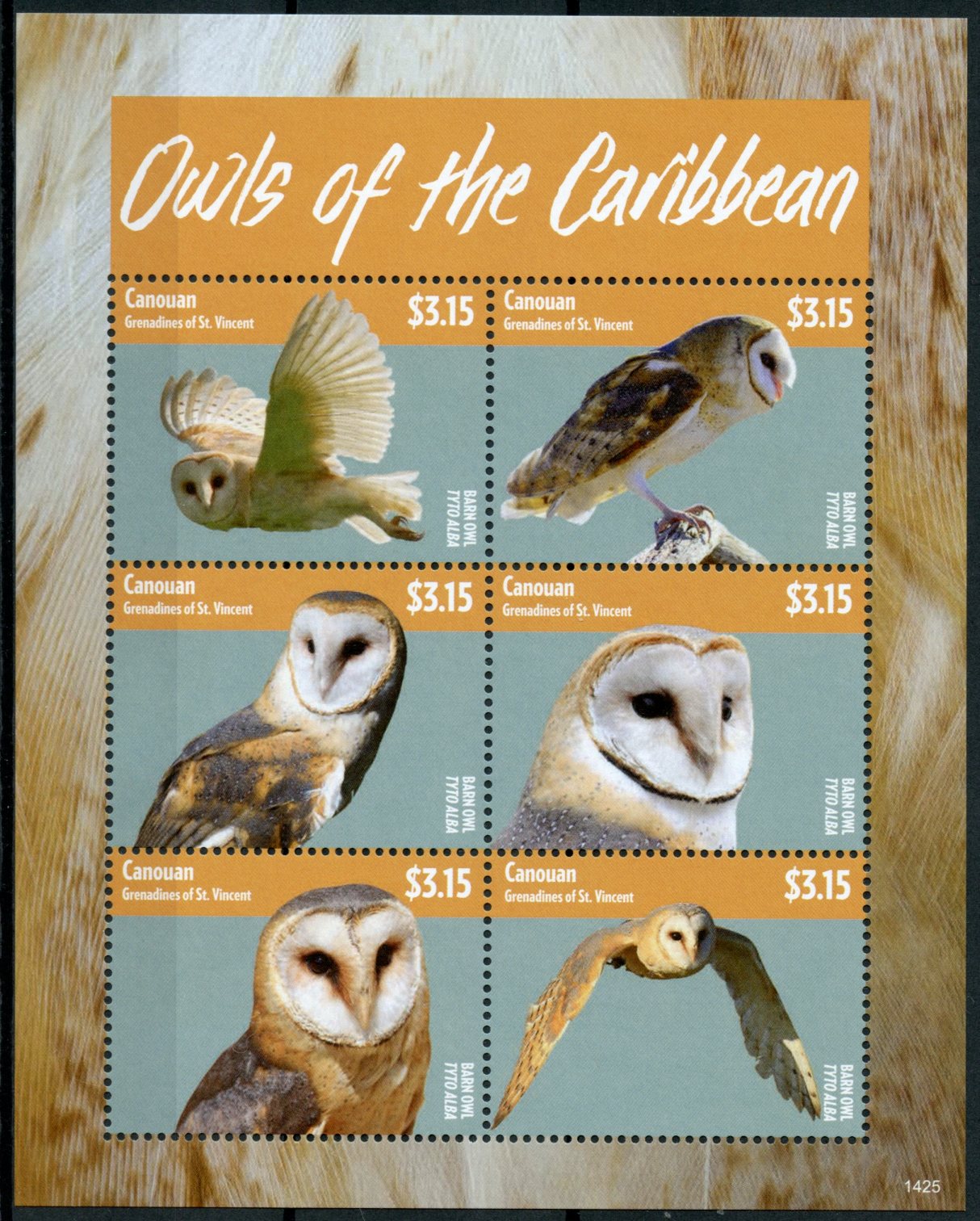 Canouan Grenadines St Vincent 2014 MNH Owls of Caribbean 6v M/S Birds Barn Owl