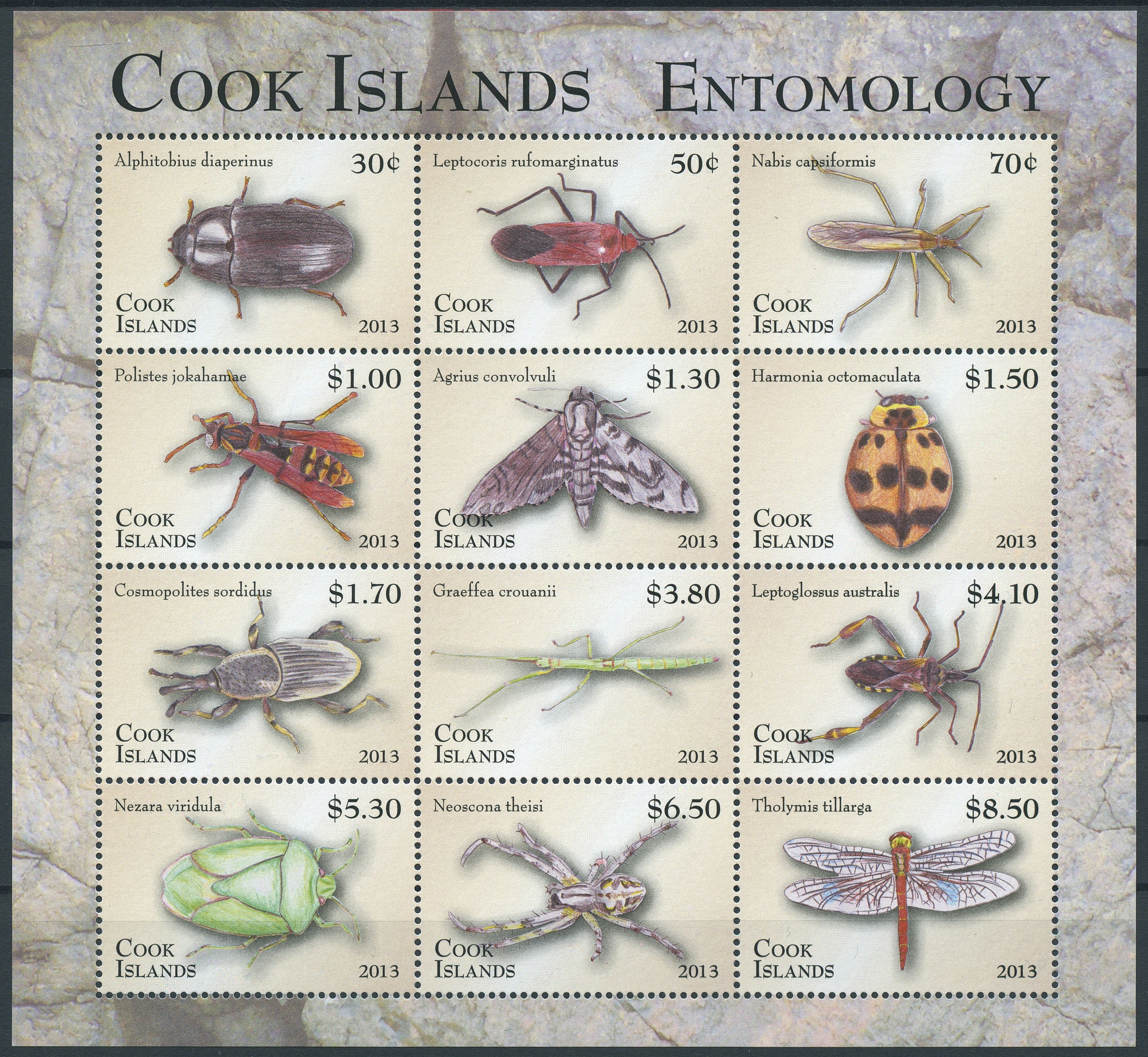 Cook Islands 2013 MNH Entomology Definitive Part 1 12v M/S Insects Beetles Moth