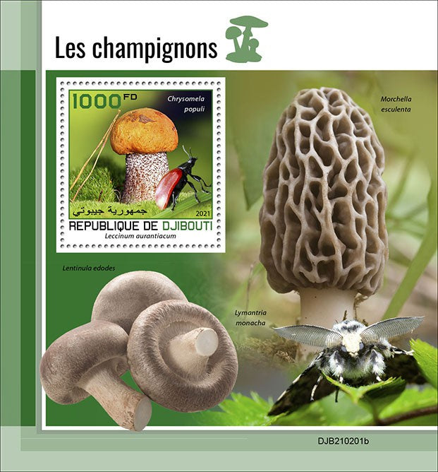 Djibouti 2021 MNH Mushrooms Stamps Fungi Leccinum Mushroom Beetles 1v S/S