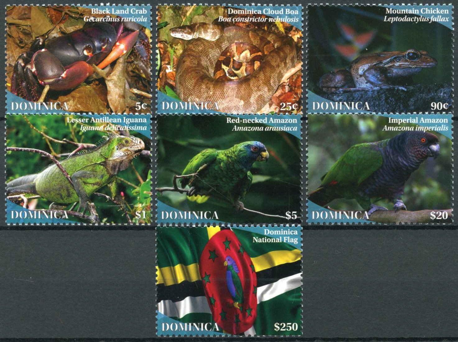 Dominica Birds on Stamps 2021 MNH Wildlife Parrots Crabs Snakes Frogs Flags Lizards 7v Set