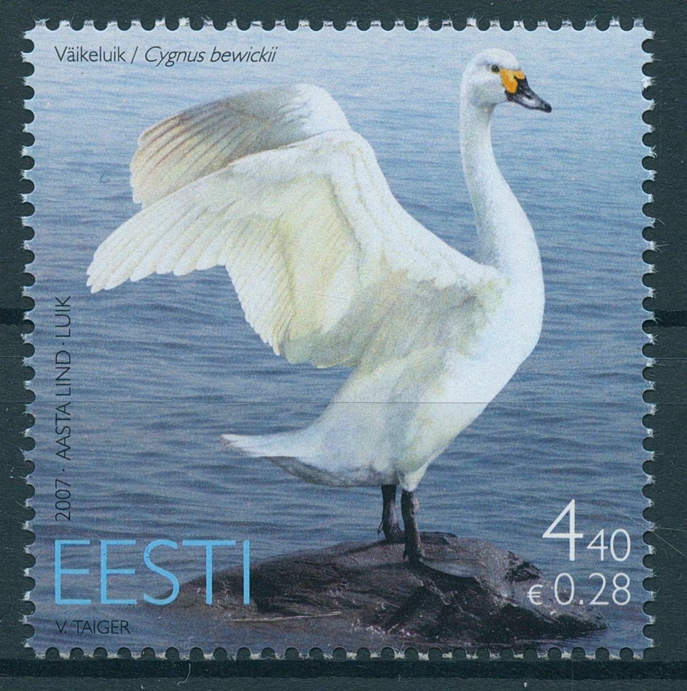 Estonia Birds on Stamps 2007 MNH Bewick's Swan Bird of Year Swans 1v Set