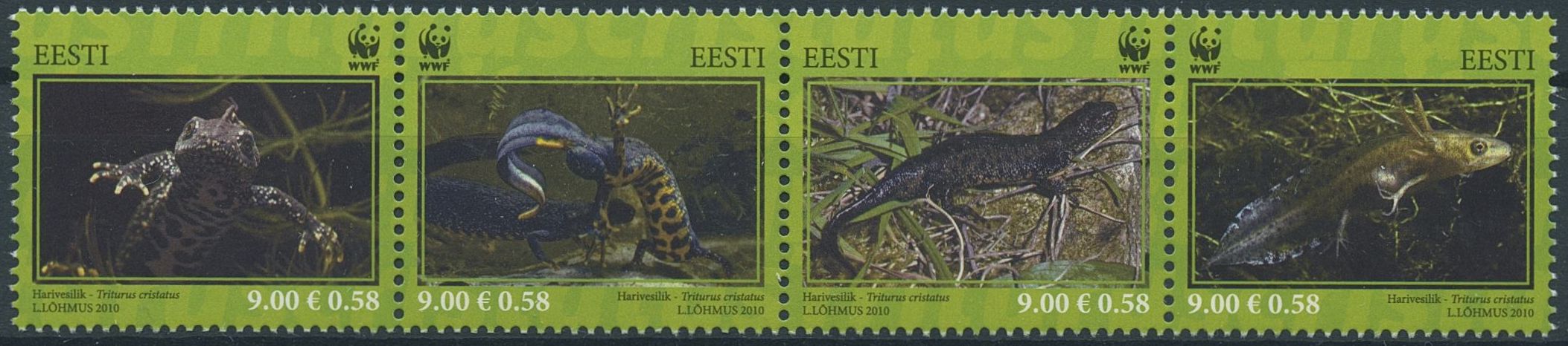 Estonia Amphibians Stamps 2010 MNH Great Crested Newt WWF Newts Fauna 4v Strip