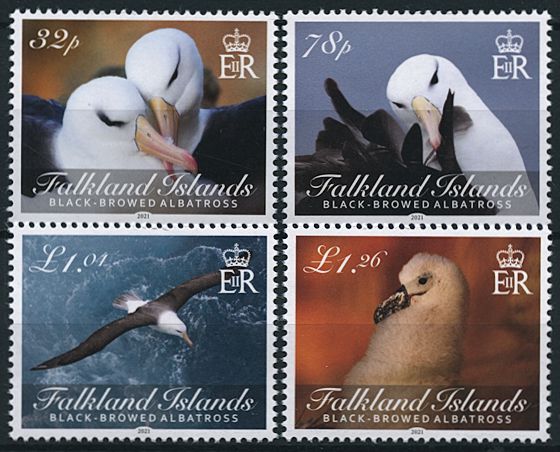 Falkland Islands 2021 MNH Birds on Stamps Black-Browed Albatross 4v Set