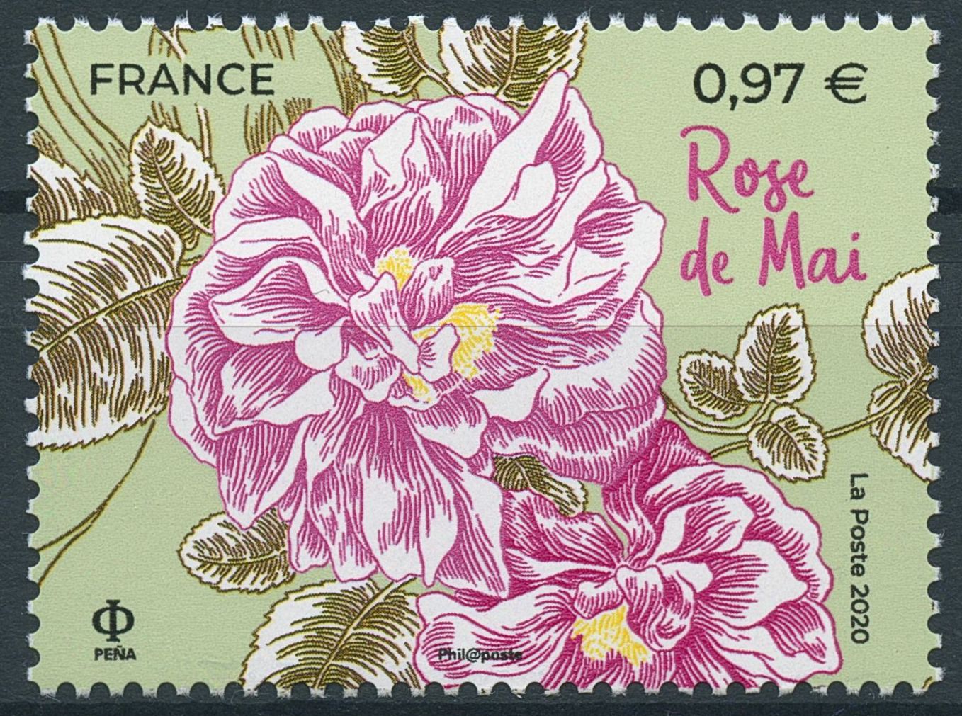 France Flowers Stamps 2020 MNH Rose de Mai Cabbage Rose Roses 1v Set