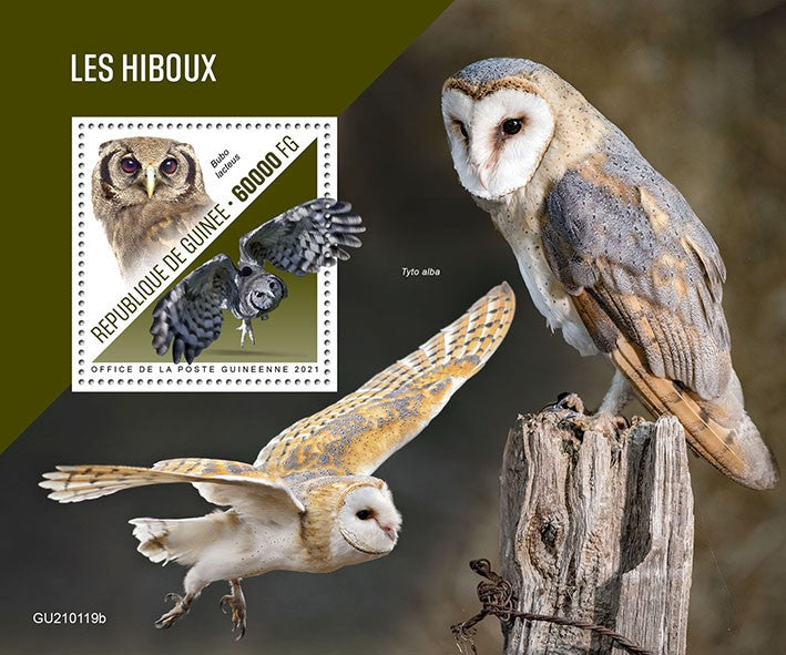 Guinea 2021 MNH Birds on Stamps Owls Verreaux's Eagle-Owl Barn Owl 1v S/S