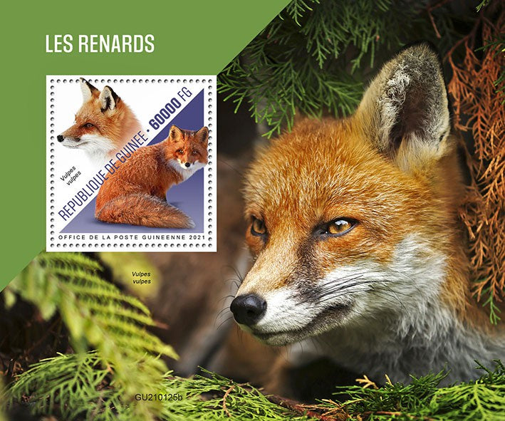 Guinea 2021 MNH Wild Animals Stamps Foxes Red Fox 1v S/S