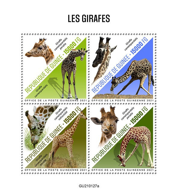 Guinea 2021 MNH Wild Animals Stamps Giraffes Nubian Giraffe Fauna 4v M/S
