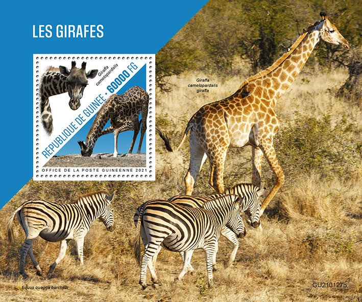Guinea 2021 MNH Wild Animals Stamps Giraffes Nubian Giraffe Fauna 1v S/S