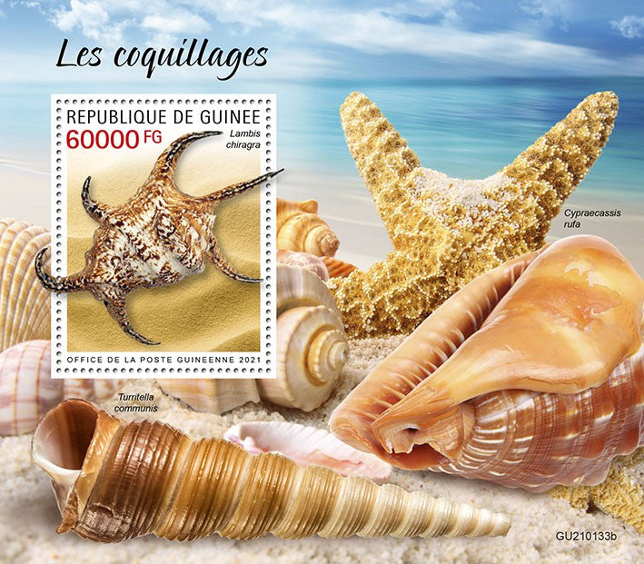 Guinea 2021 MNH Seashells Stamps Lambis Sea Shells Marine 1v S/S