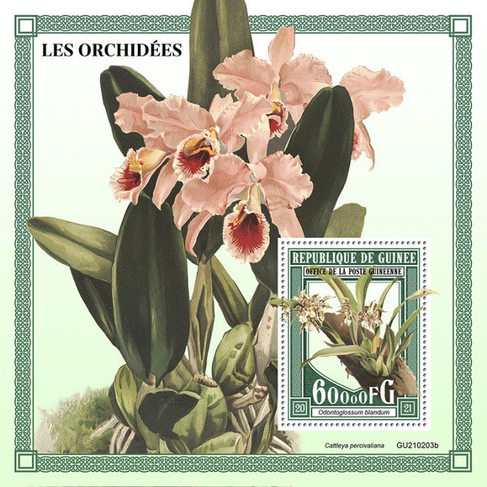 Guinea 2021 MNH Orchids Stamps Flowers Odontoglossum Cattleya Orchid Flora 1v S/S