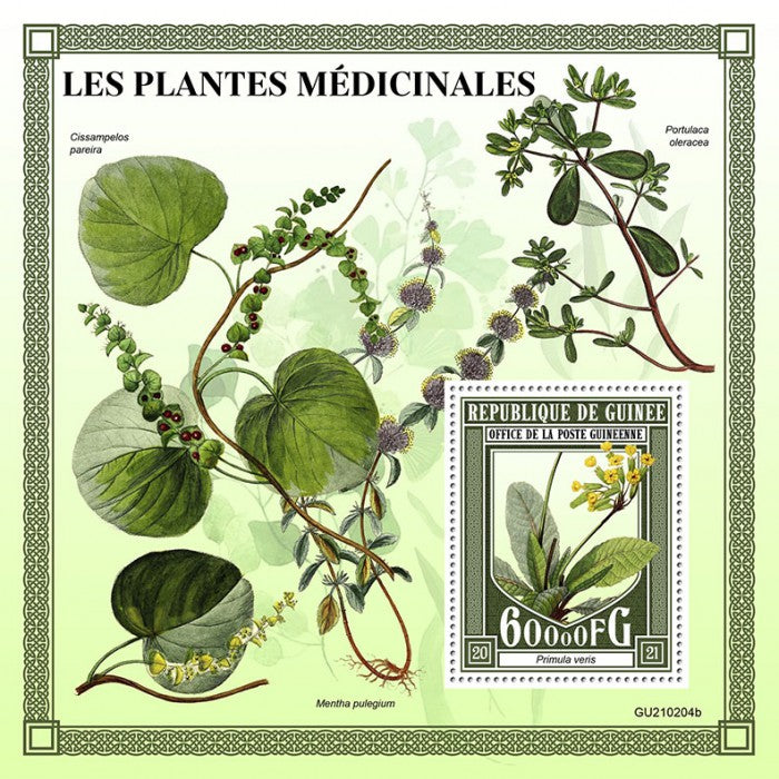 Guinea 2021 MNH Medicinal Plants Stamps Cowslip Flowers Nature 1v S/S