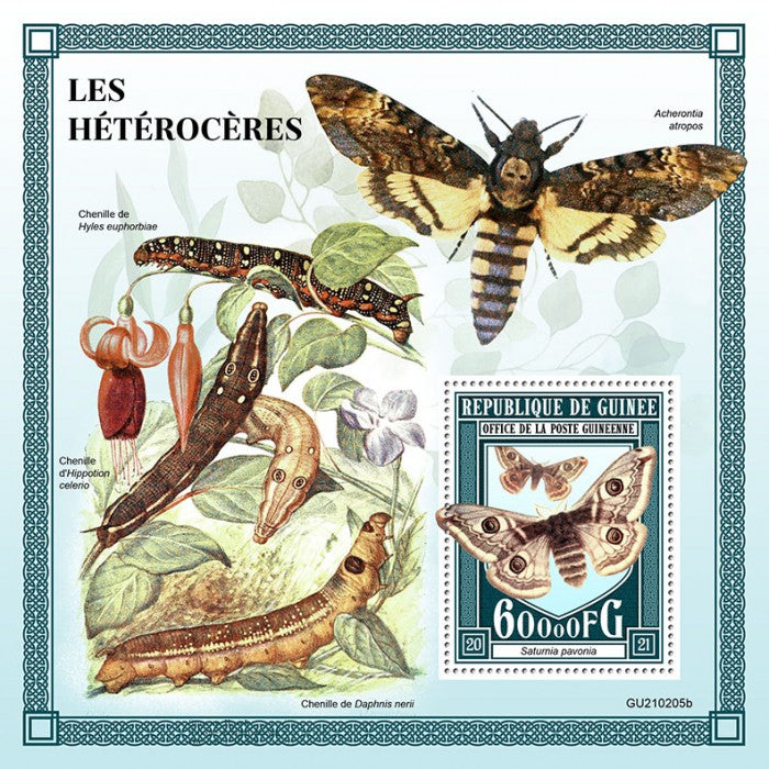 Guinea 2021 MNH Moths Stamps Heteroceres Butterflies Insects 1v S/S