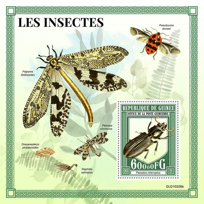 Guinea 2021 MNH Insects Stamps Beetles Scorpionflies 1v S/S