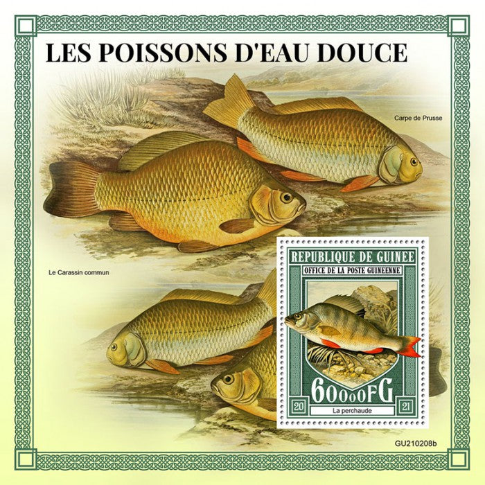 Guinea 2021 MNH Fish Stamps Freshwater Fishes Perch Russian Carp 1v S/S