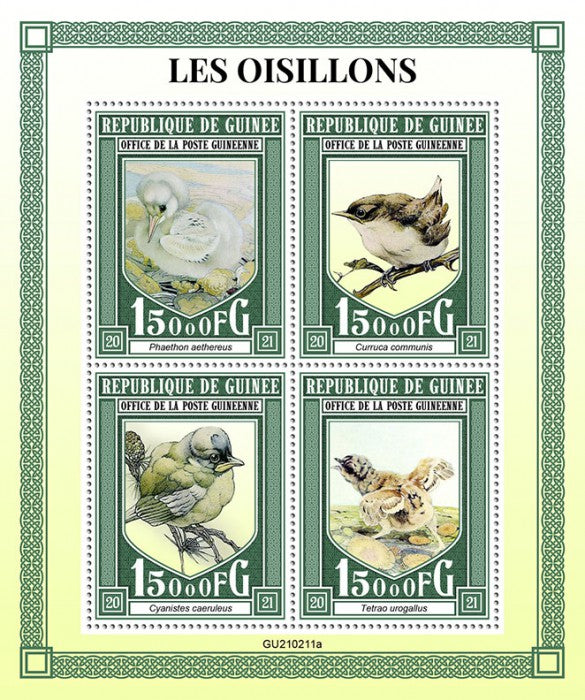 Guinea 2021 MNH Baby Birds on Stamps Chicks Tropicbird Caipercaille 4v M/S