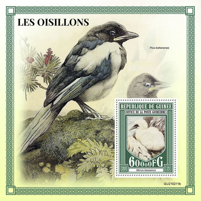 Guinea 2021 MNH Baby Birds on Stamps Chicks Gannets Magpies 1v S/S