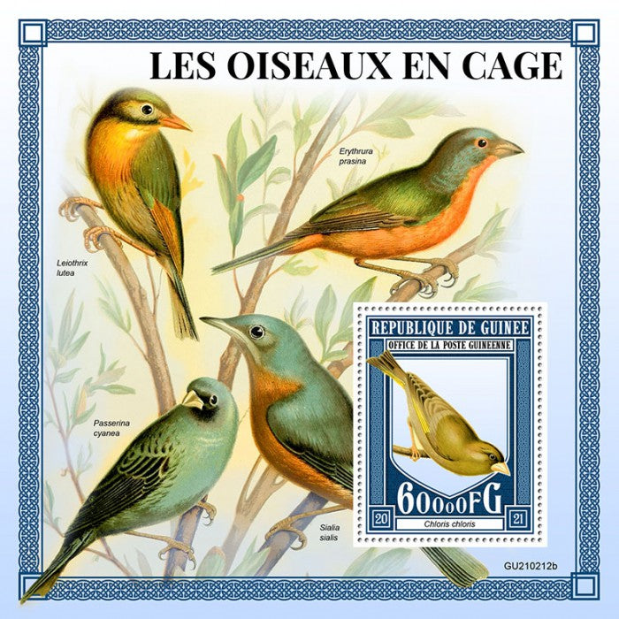 Guinea 2021 MNH Cage Birds on Stamps Greenfinch Finches 1v S/S