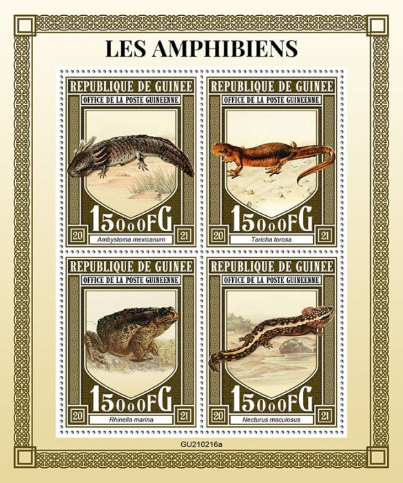 Guinea 2021 MNH Amphibians Stamps Frogs Toads Cane Toad Axolotl Newts 4v M/S