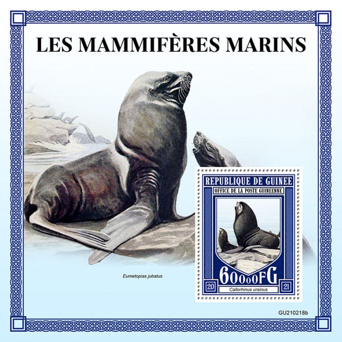 Guinea 2021 MNH Wild Animals Stamps Marine Mammals Seals Northern Fur Seal 1v S/S