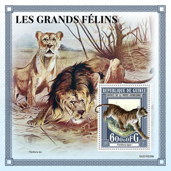 Guinea 2021 MNH Wild Animals Stamps Big Cats Tigers Lions 1v S/S