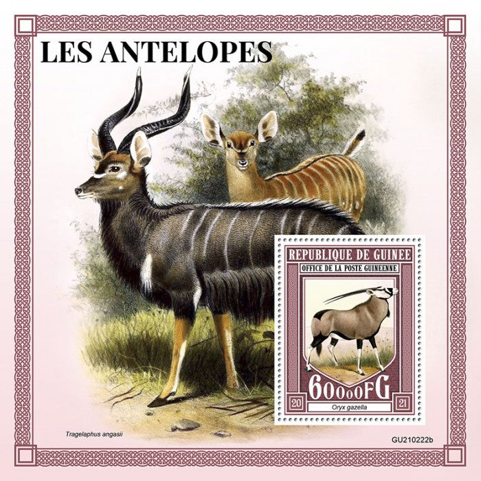 Guinea 2021 MNH Wild Animals Stamps Antelopes Gemsbok Oryx 1v S/S