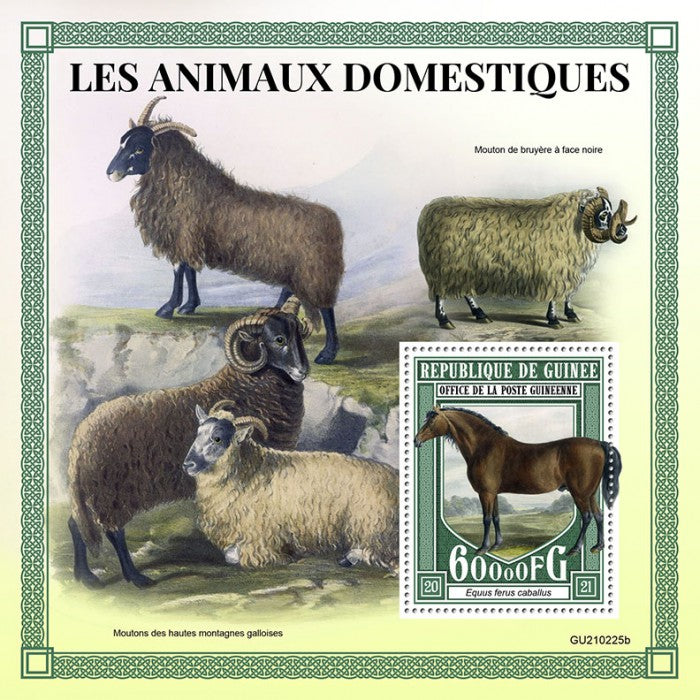 Guinea 2021 MNH Farm Animals Stamps Modern Domesticated Horse Horses 1v S/S