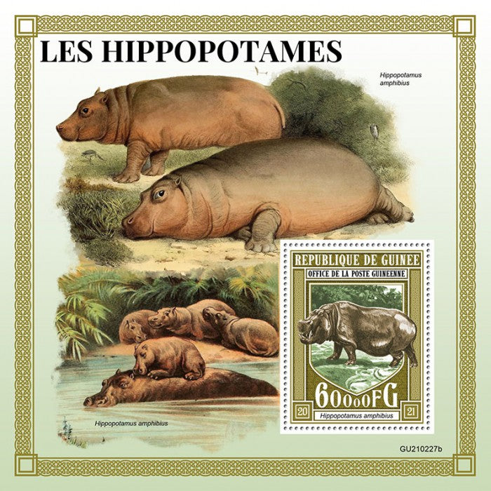 Guinea 2021 MNH Wild Animals Stamps Hippopotamus Hippos 1v S/S