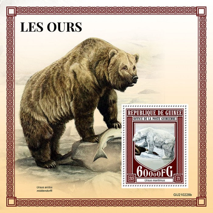 Guinea 2021 MNH Wild Animals Stamps Bears Kodiak Polar Bear 1v S/S