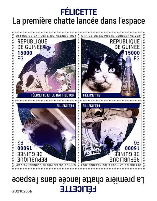 Guinea 2021 MNH Space Stamps Felicette 1st Cat in Space Cats 4v M/S