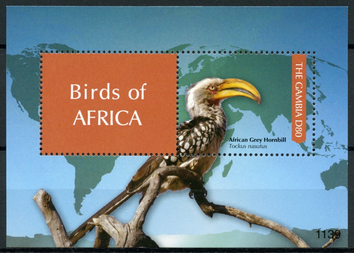 Gambia 2011 MNH Stamps Birds of Africa African Grey Hornbill 1v S/S I