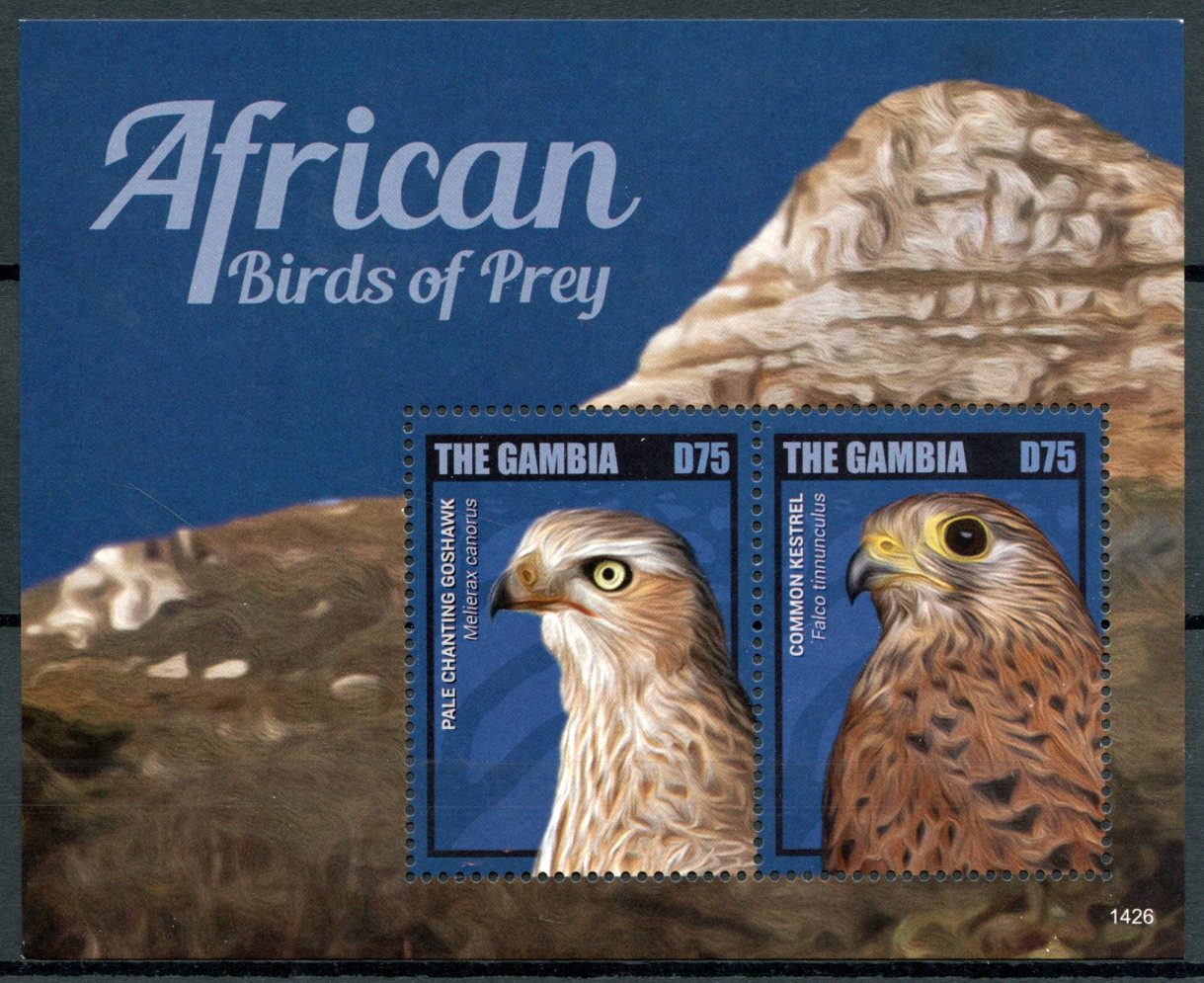 Gambia 2014 MNH Birds on Stamps African Birds of Prey Pale Chanting Goshawk Kestrel 2v S/S I