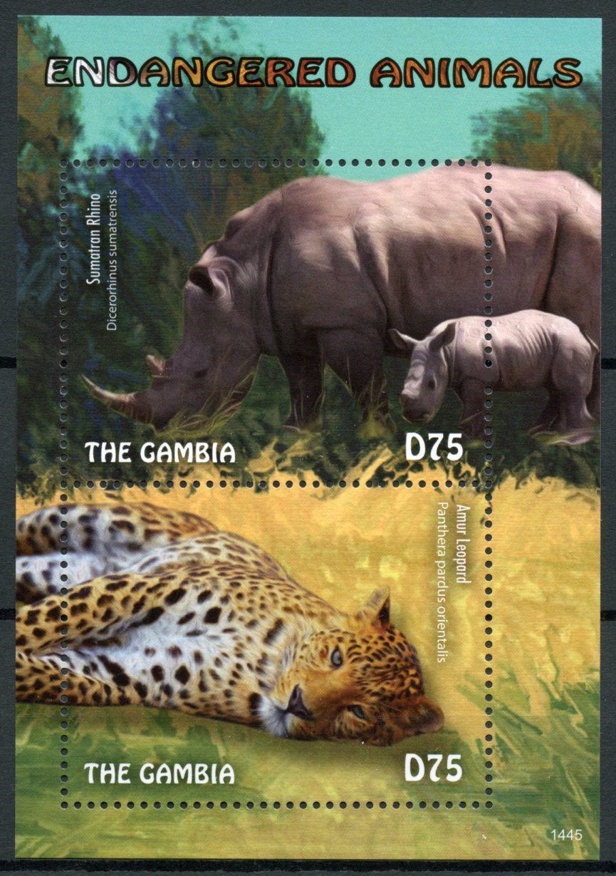 Gambia 2014 MNH Endangered Animals 2v S/S Sumatran Rhino Amur Leopard