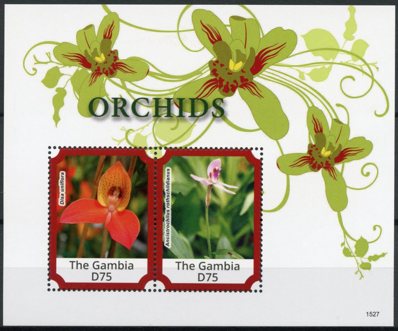 Gambia 2015 MNH Orchids 2v S/S Flowers Flora Disa uniflora