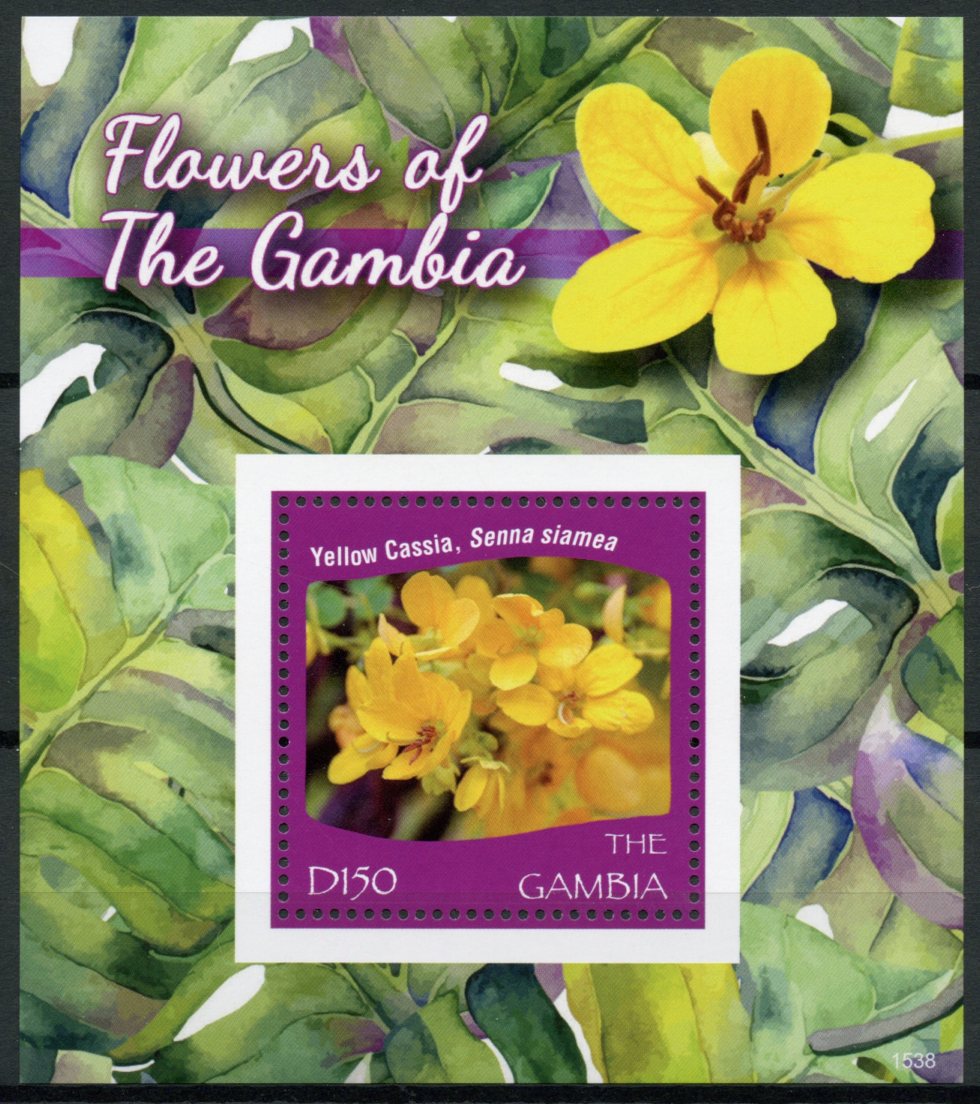 Gambia 2015 MNH Flowers of Gambia 1v S/S Yellow Cassia Flora Stamps